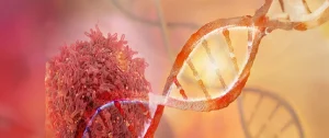 Webinar: "Cáncer en Movimiento: El Impacto del Ejercicio en la Salud Oncológica"